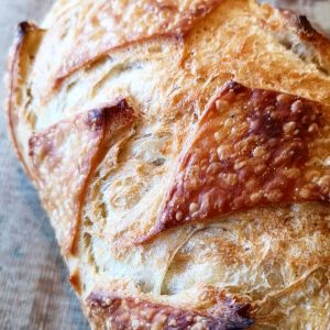 Artisan Bread and Buns